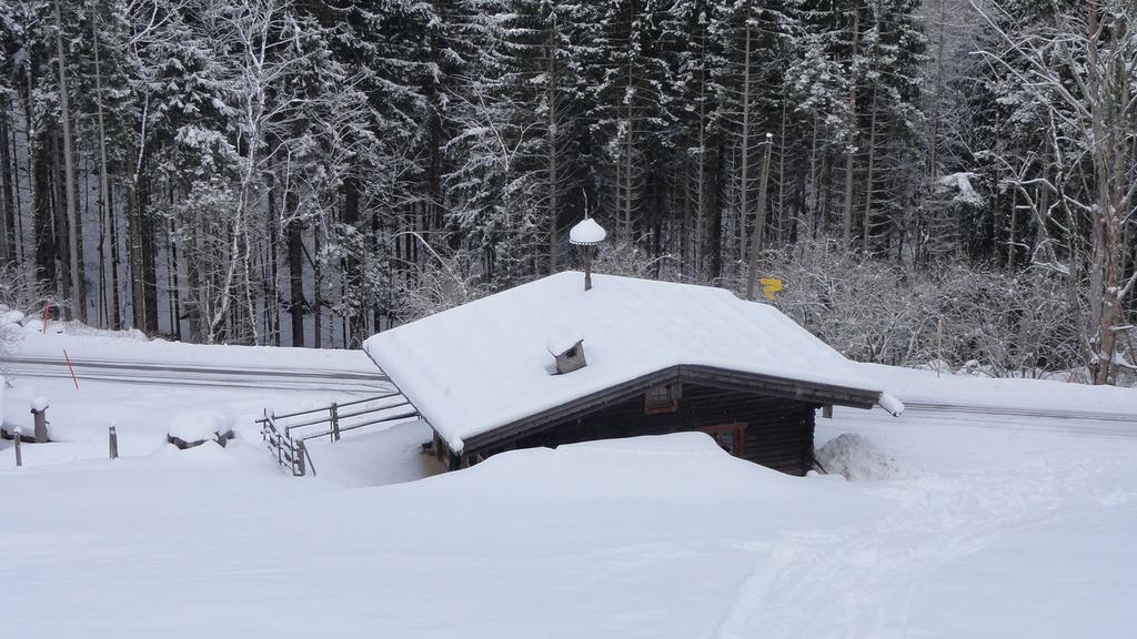 Almbruennerl Die Almhuette Auf Der Raffner Alm Villa Ruhpolding Bilik gambar